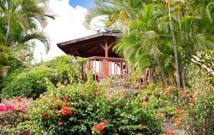 Big Island Hawaiian Paradise With Heated Pool - Kailua-Kona, Hawaii