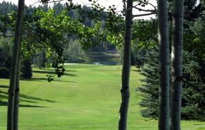 Star Valley Ranch Mountain Golf and Ski Paradise - Star Valley Ranch, Wyoming