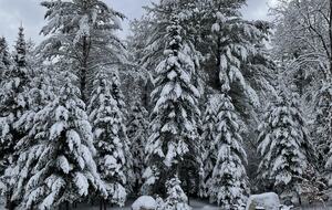 View from the living room