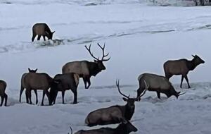 Star Valley Ranch Mountain Golf and Ski Paradise - Star Valley Ranch, Wyoming
