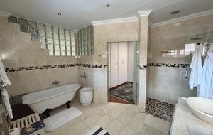 Bird Home - Midrand, South Africa