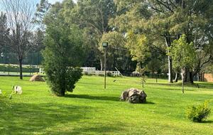 Bird Home - Midrand, South Africa