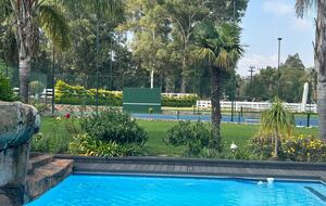 Bird Home - Midrand, South Africa