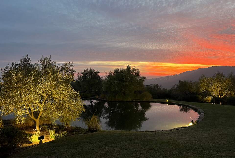 Olivo Santo Estate - Laguna de Zapallar, Chile
