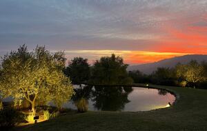 Olivo Santo Estate - Laguna de Zapallar, Chile