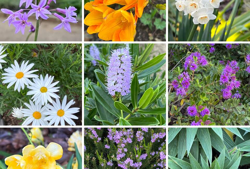 Olivo Santo Estate - Laguna de Zapallar, Chile