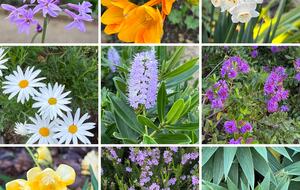 Olivo Santo Estate - Laguna de Zapallar, Chile