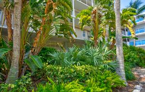 Sea Side Dreams at Ocean Pointe Resort in Key Largo - Tavernier, Florida