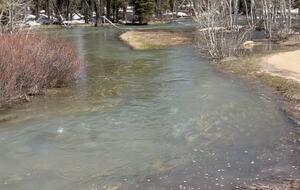 Cozy Cabin in the Utah Mountains - Alton, Utah