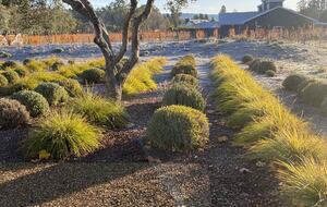 The Grove Estate Sonoma - Sonoma, California
