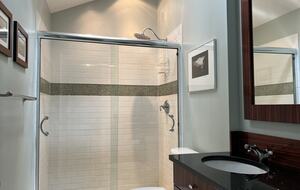 Master bath with vaulted ceiling & skylight