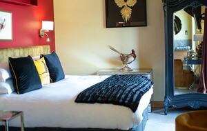 Stags Barn - Ashford, United Kingdom