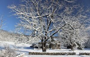 Lavender Hill Estate | Private 37 acres,1.5 hour from NYC, Heated Pool, Jacuzzi - Pine Bush, New York