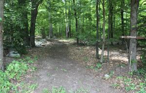 Lavender Hill Estate | Private 37 acres,1.5 hour from NYC, Heated Pool, Jacuzzi - Pine Bush, New York