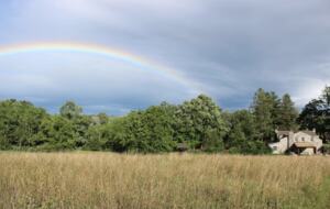 Lavender Hill Estate | Private 37 acres,1.5 hour from NYC, Heated Pool, Jacuzzi - Pine Bush, New York