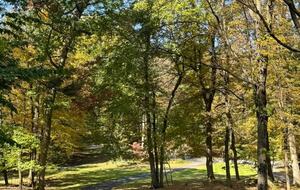 Approach to house from street