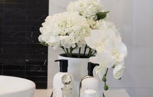 Hamilton Hill with Panorama View - Brisbane, Australia