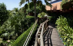 La Moraleja- Margarita - Margarita Island, Venezuela