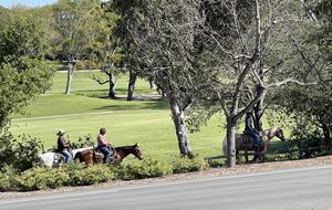 Peaceful Studio Retreat with Sensational Golf Course View and Natural Surroundings - Rancho Santa Fe, California