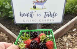 Peaceful Studio Retreat with Sensational Golf Course View and Natural Surroundings - Rancho Santa Fe, California