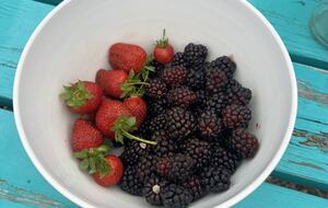 Peaceful Studio Retreat with Sensational Golf Course View and Natural Surroundings - Rancho Santa Fe, California