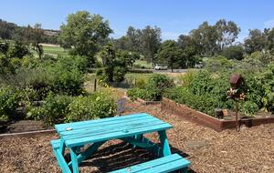 Peaceful Studio Retreat with Sensational Golf Course View and Natural Surroundings - Rancho Santa Fe, California