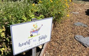 Peaceful Studio Retreat with Sensational Golf Course View and Natural Surroundings - Rancho Santa Fe, California