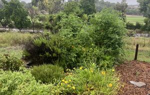 Peaceful Studio Retreat with Sensational Golf Course View and Natural Surroundings - Rancho Santa Fe, California