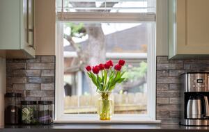 Casita Verde | ATX - Live Music Capital of the World - Austin, Texas