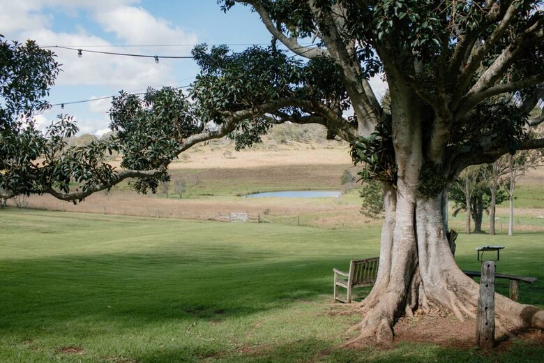 Bunnyconnellen | The Homestead and Hillview Cottage - Plainby, Australia