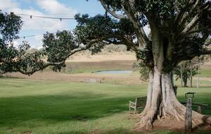 Bunnyconnellen | The Homestead and Hillview Cottage - Plainby, Australia