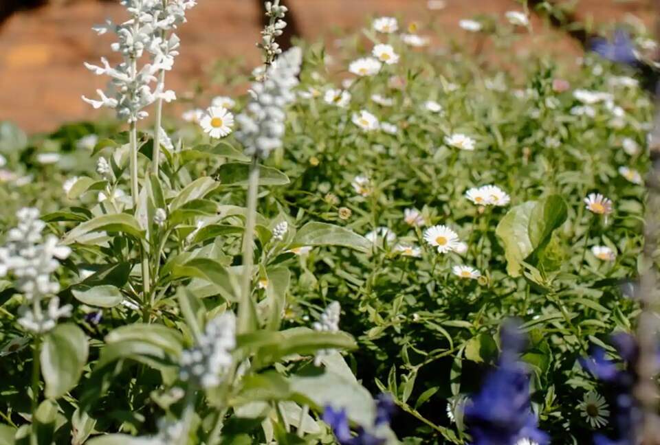 Bunnyconnellen | The Homestead and Hillview Cottage - Plainby, Australia