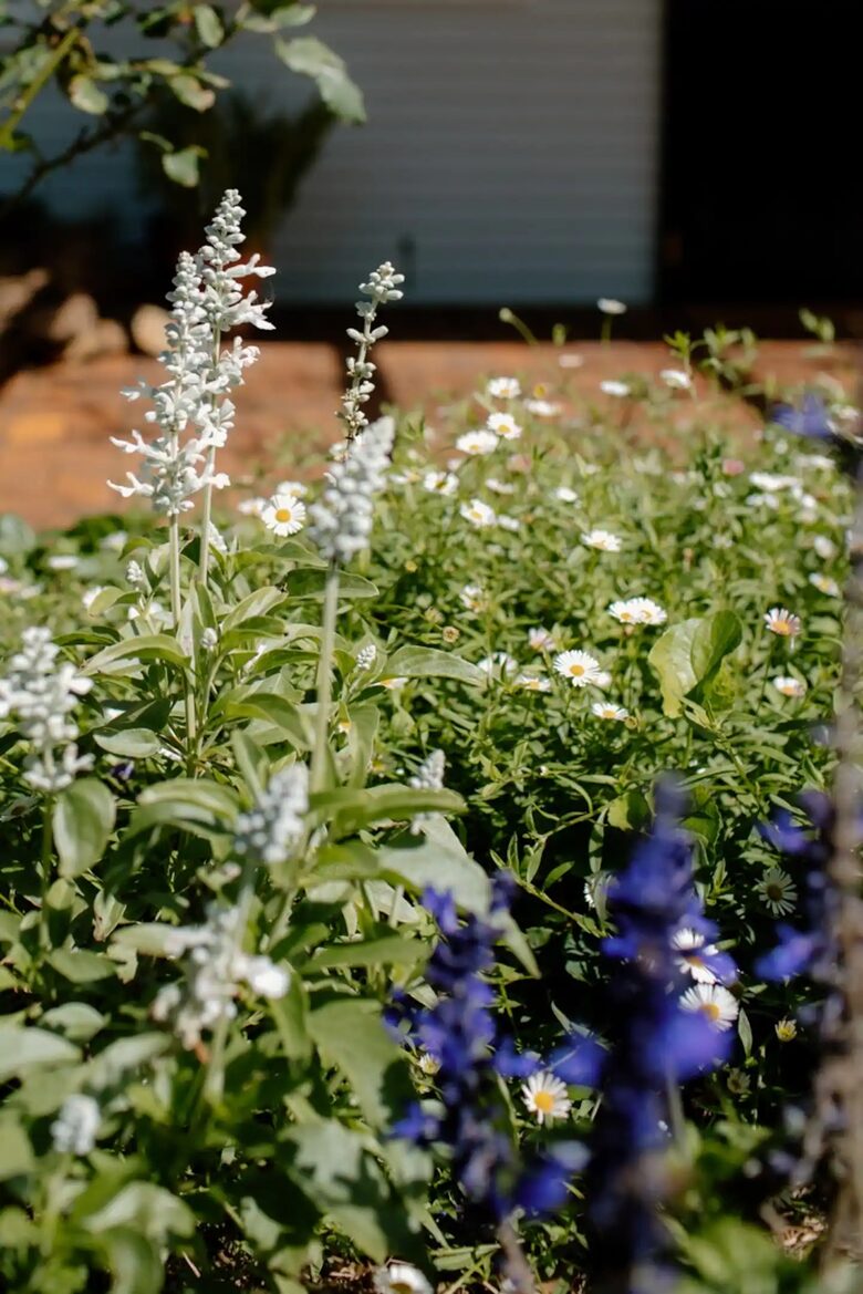Bunnyconnellen | The Homestead and Hillview Cottage - Plainby, Australia