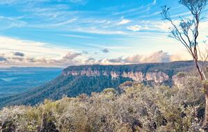 W I L D A C R E S Luxe Lodge on 40 Acres in the UNESCO World Heritage Blue Mountains - Blackheath, Australia