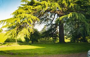 Bicknor Court - Coleford, United Kingdom