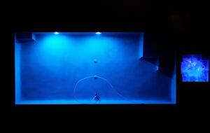 Hawaiian Luxury home with Infinity Heated Pool & Breathtaking Views in Paradise - Kailua Kona, Hawaii