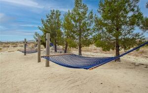 The Desert Oasis - Twentynine Palms, California
