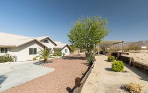 The Desert Oasis - Twentynine Palms, California