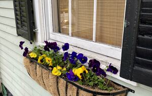 Bristol Harbor House - Bristol, Rhode Island