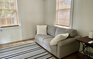 Den with sleeper sofa