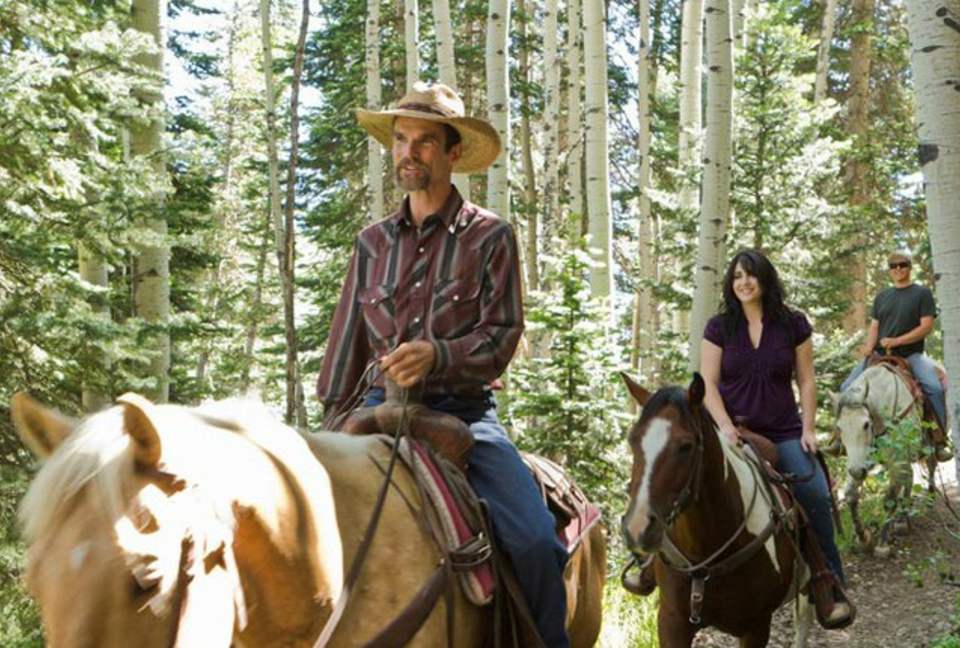 3 Bedroom Residence at The Deer Valley Club - Park City, Utah