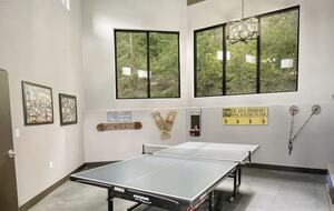 Mud room with ping pong table
