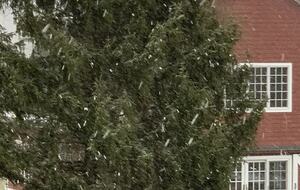 Modern Barn on 6 Acres - Sharon, Connecticut