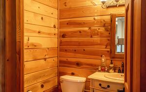 Lower Level Ensuite Bathroom