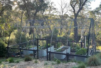 W I L D A C R E S Luxe Lodge on 40 Acres in the UNESCO World Heritage Blue Mountains - Blackheath, Australia