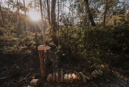 W I L D A C R E S Luxe Lodge on 40 Acres in the UNESCO World Heritage Blue Mountains - Blackheath, Australia