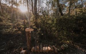 W I L D A C R E S Luxe Lodge on 40 Acres in the UNESCO World Heritage Blue Mountains - Blackheath, Australia