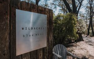 W I L D A C R E S Luxe Lodge on 40 Acres in the UNESCO World Heritage Blue Mountains - Blackheath, Australia