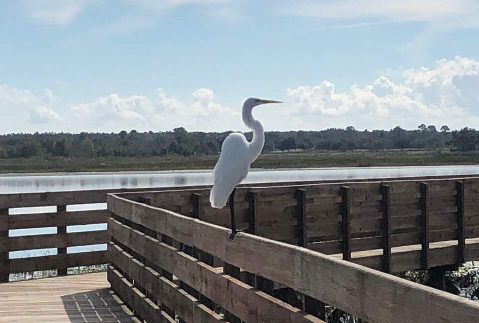 Quiet Oasis with Private Pool in The Villages, Florida - The Villages, Florida