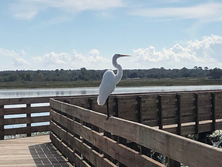 Quiet Oasis with Private Pool in The Villages, Florida - The Villages, Florida